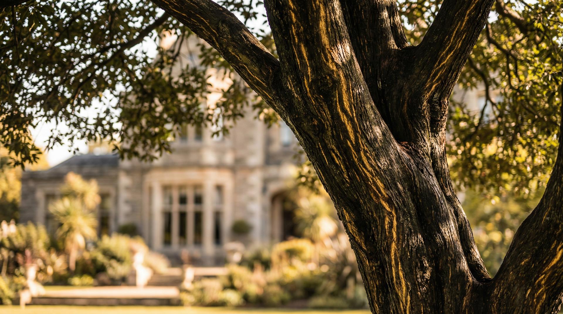 四虎视频植物视频展示-珍稀植物